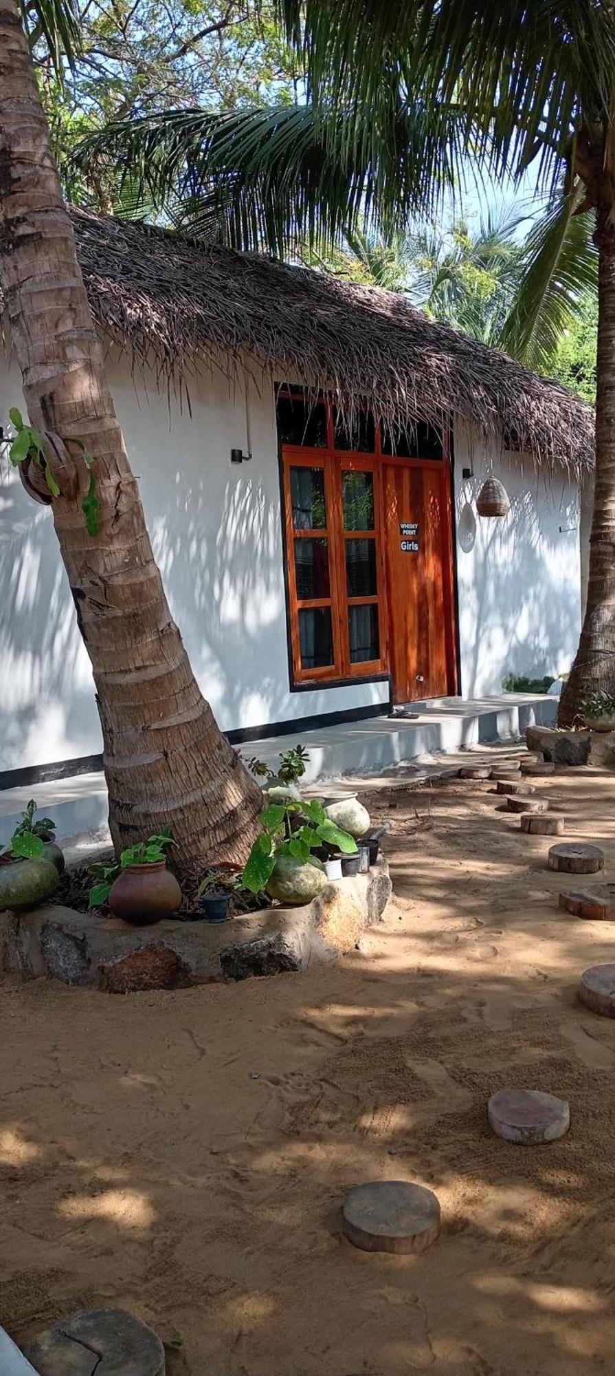 Surfing Lion Hostel Arugam Bay Dış mekan fotoğraf