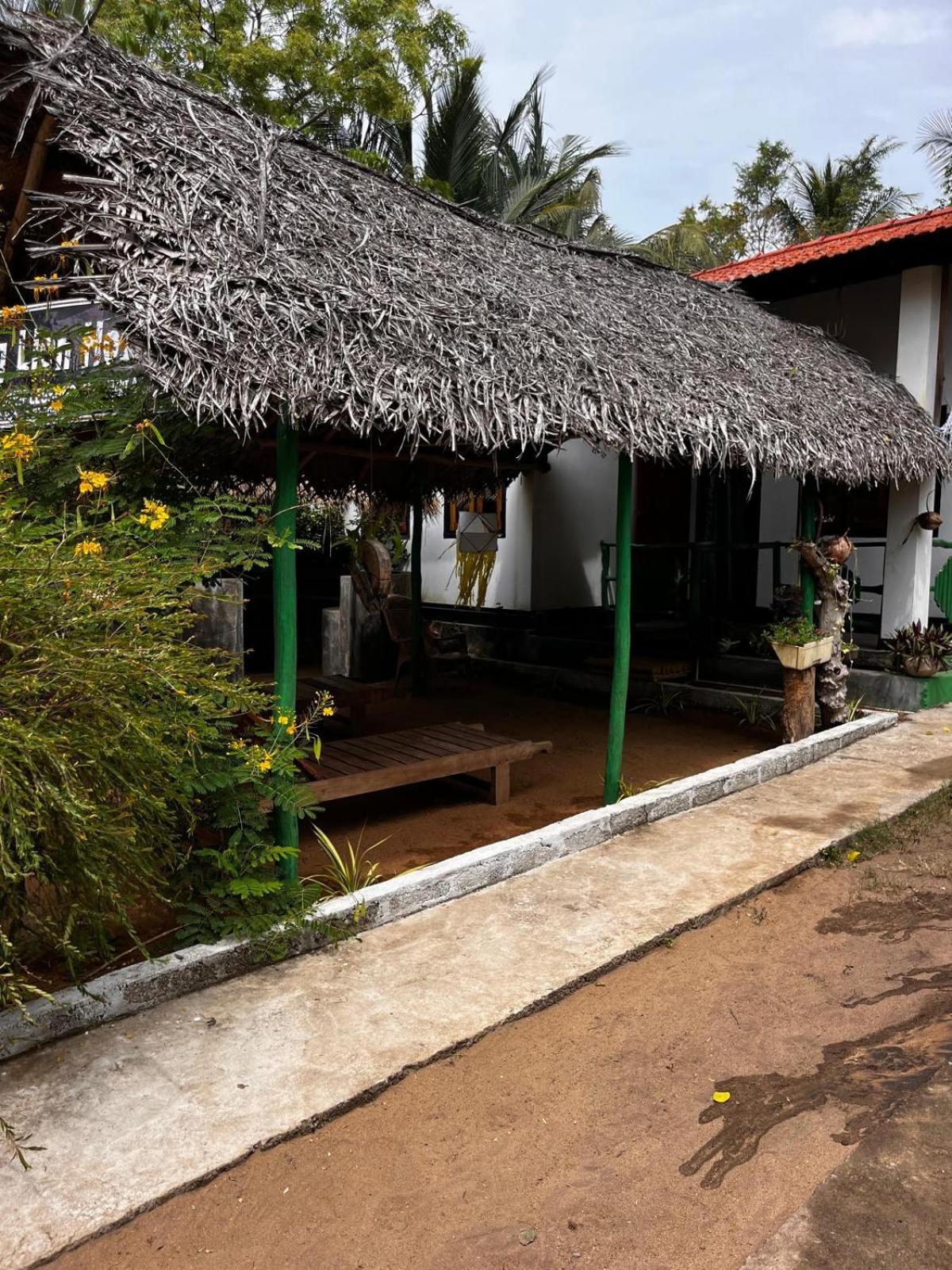 Surfing Lion Hostel Arugam Bay Dış mekan fotoğraf