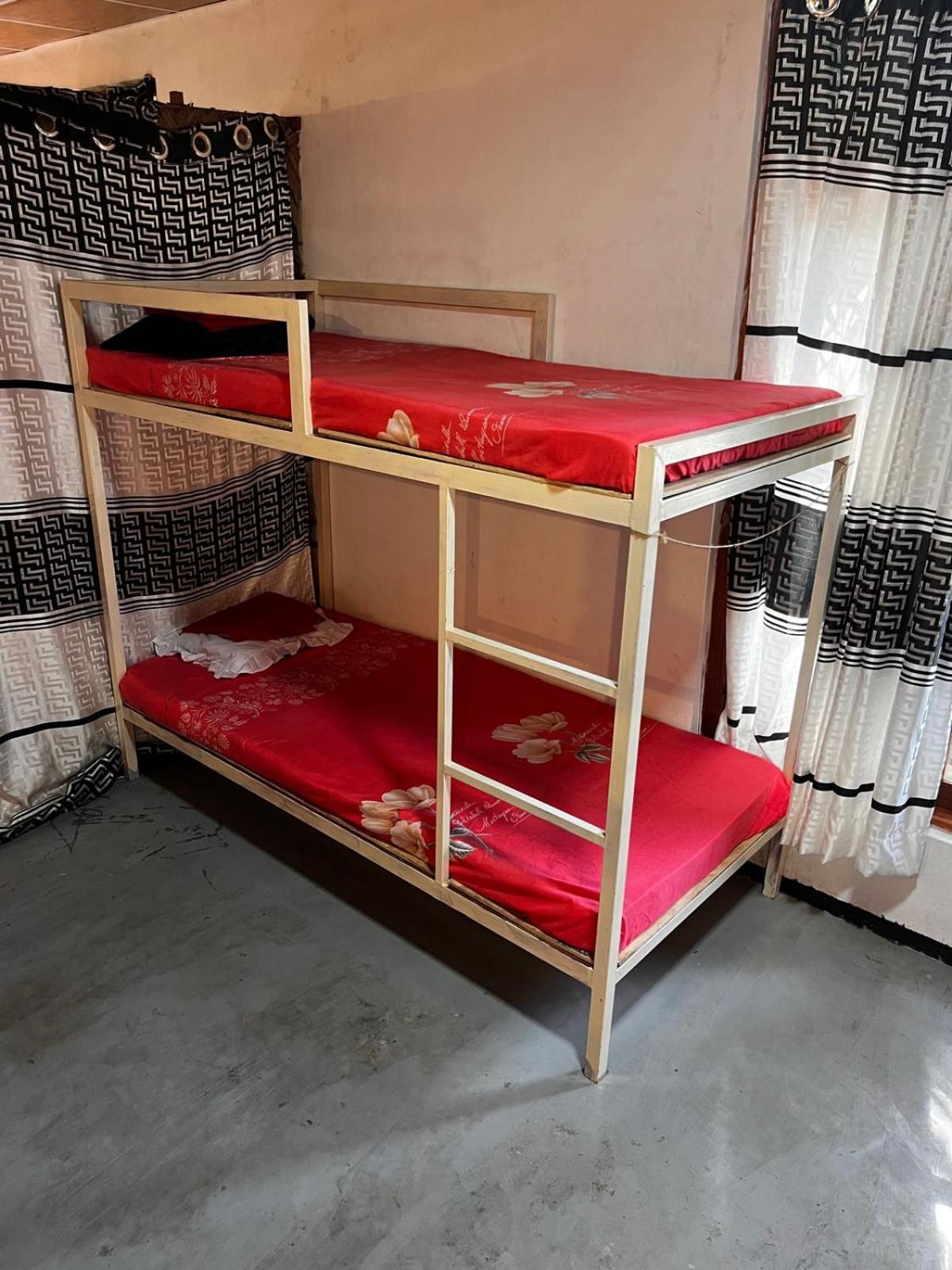 Surfing Lion Hostel Arugam Bay Dış mekan fotoğraf
