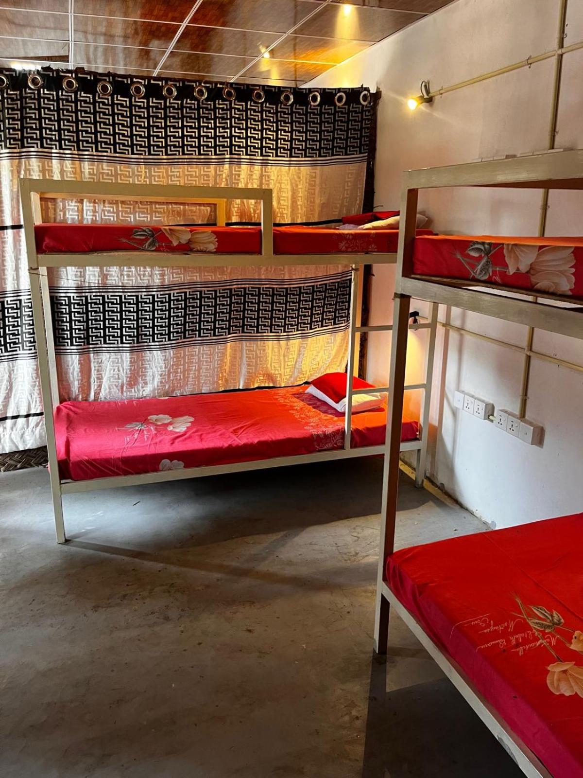 Surfing Lion Hostel Arugam Bay Dış mekan fotoğraf