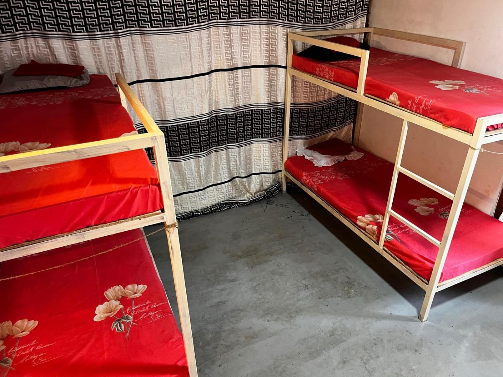 Surfing Lion Hostel Arugam Bay Dış mekan fotoğraf