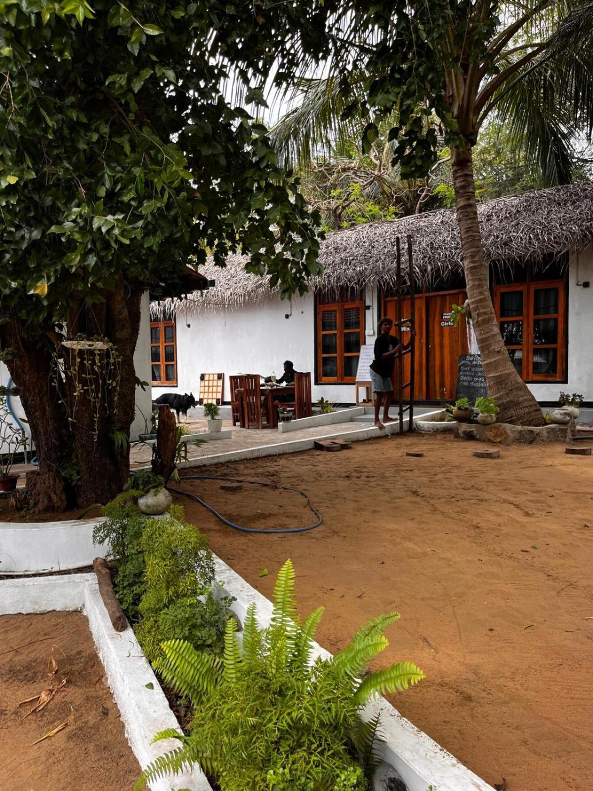 Surfing Lion Hostel Arugam Bay Dış mekan fotoğraf