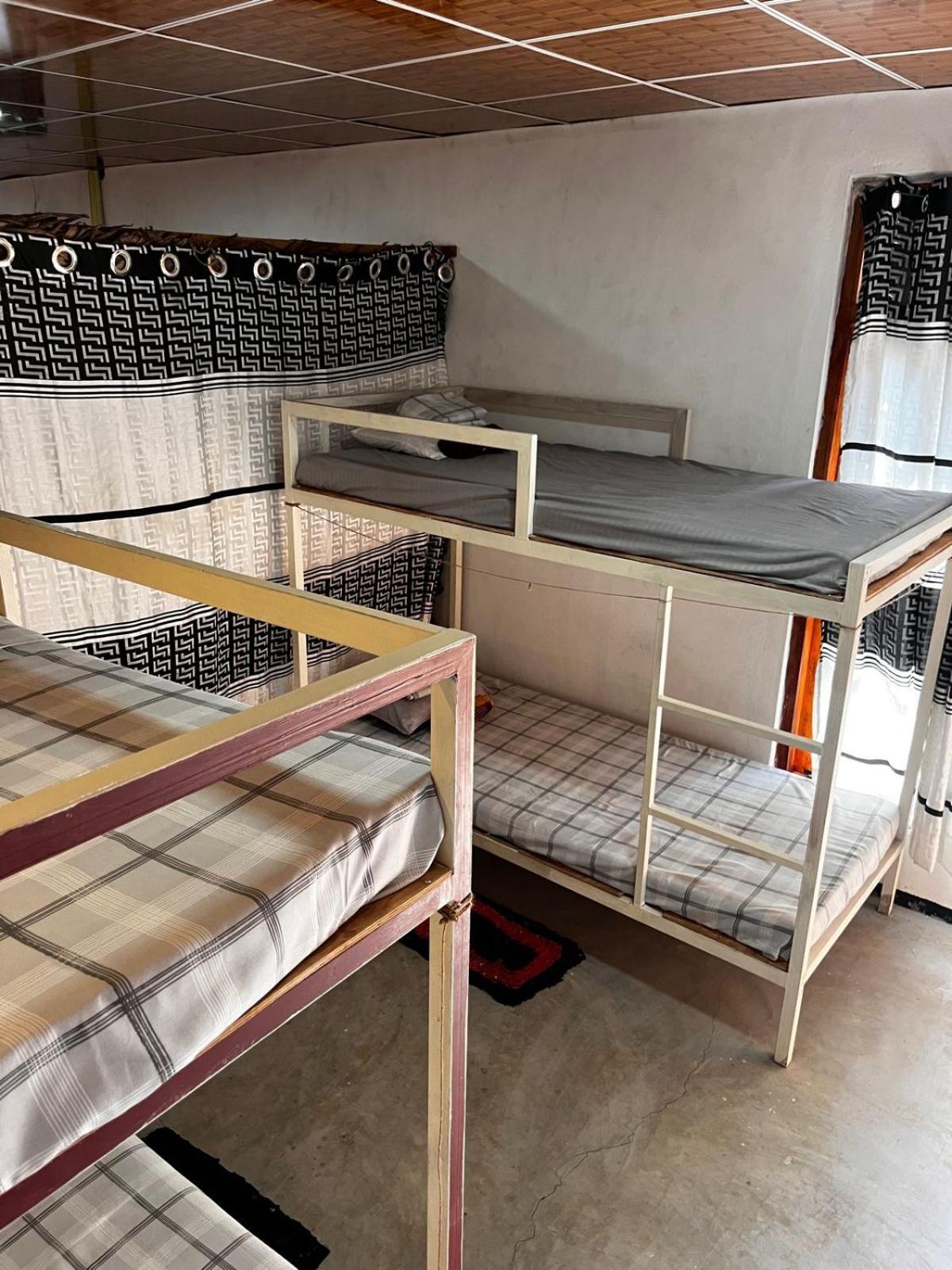 Surfing Lion Hostel Arugam Bay Dış mekan fotoğraf
