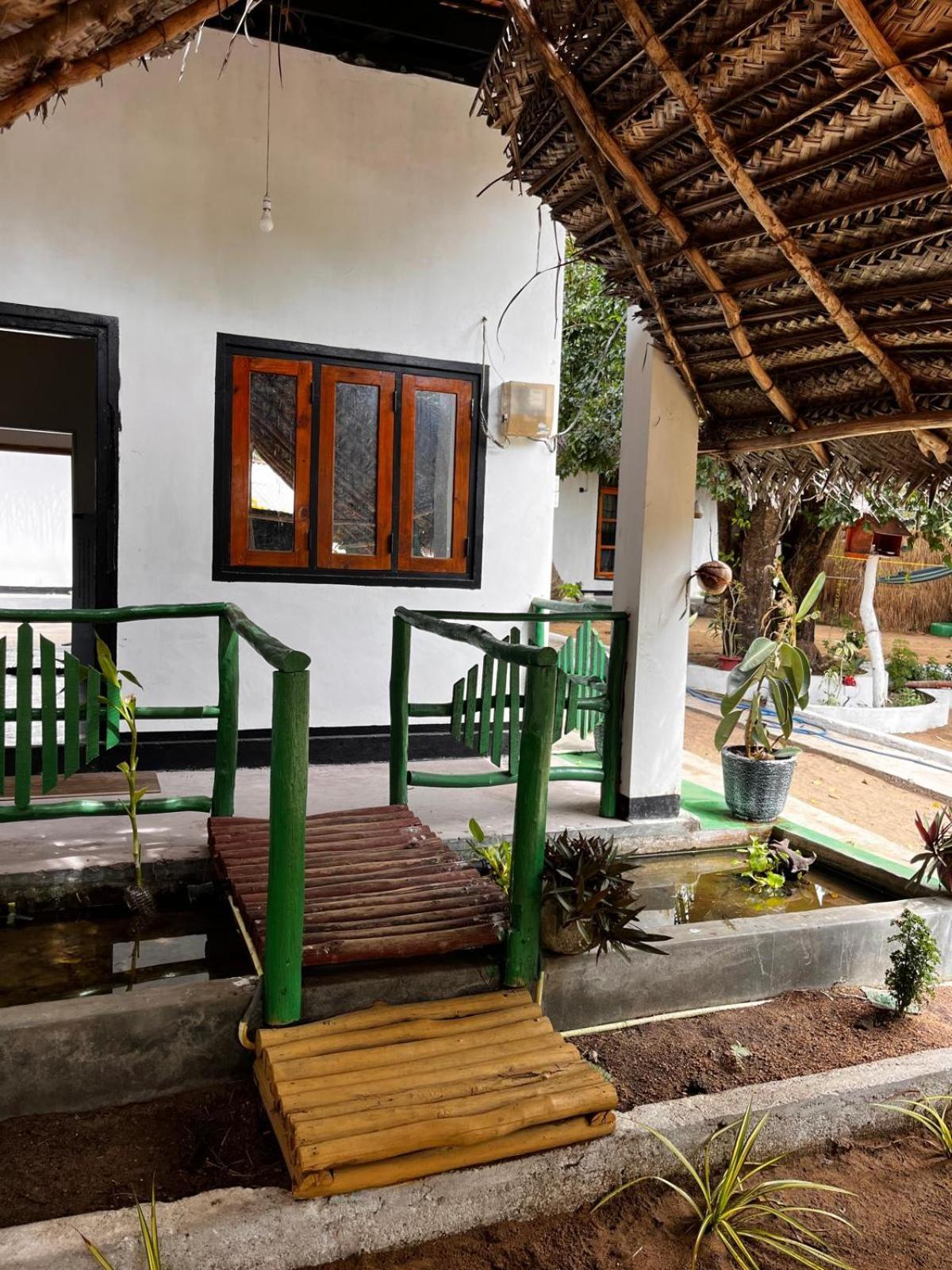 Surfing Lion Hostel Arugam Bay Dış mekan fotoğraf