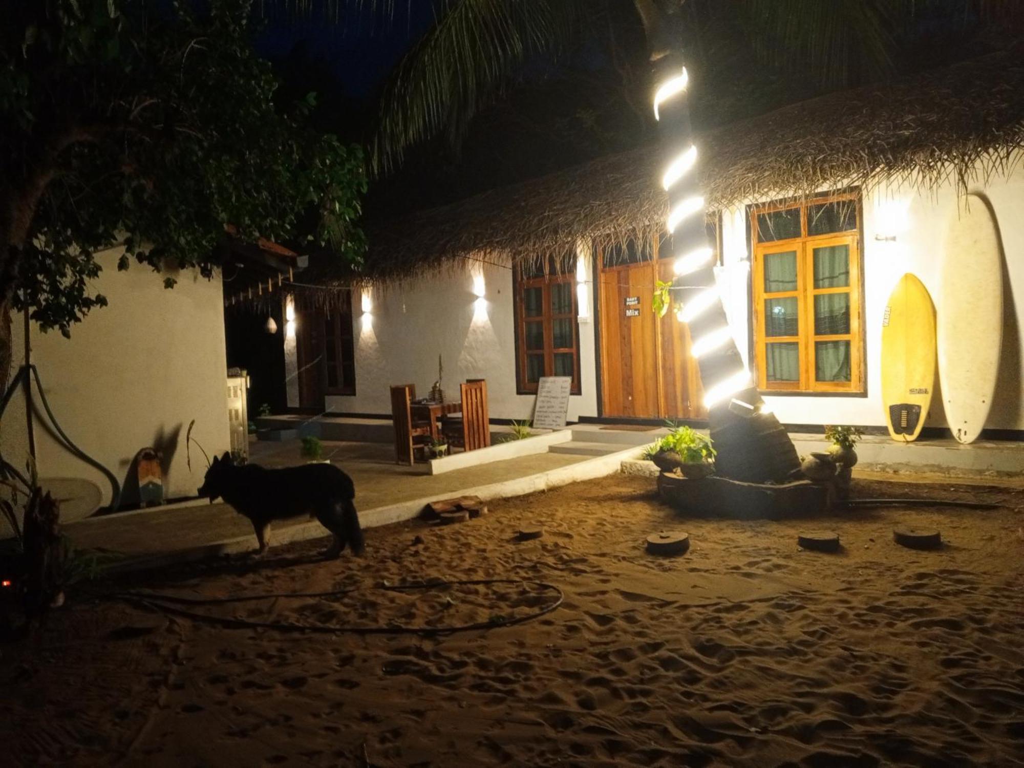Surfing Lion Hostel Arugam Bay Dış mekan fotoğraf