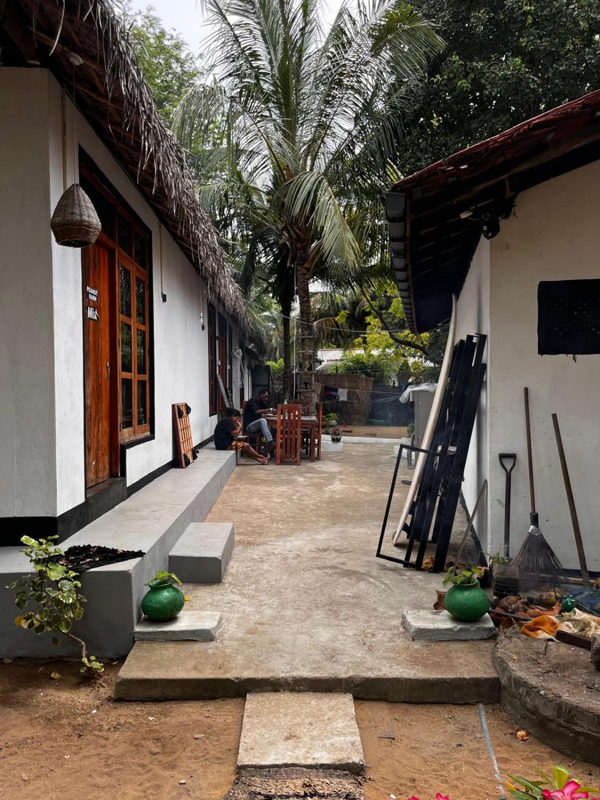 Surfing Lion Hostel Arugam Bay Dış mekan fotoğraf