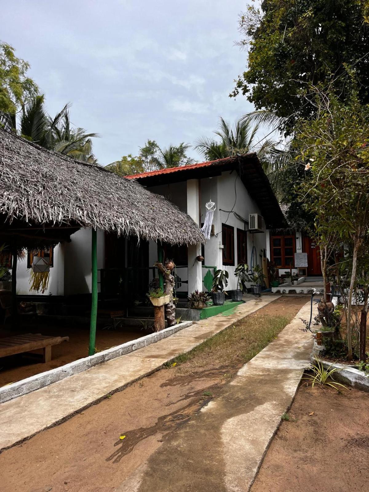 Surfing Lion Hostel Arugam Bay Dış mekan fotoğraf