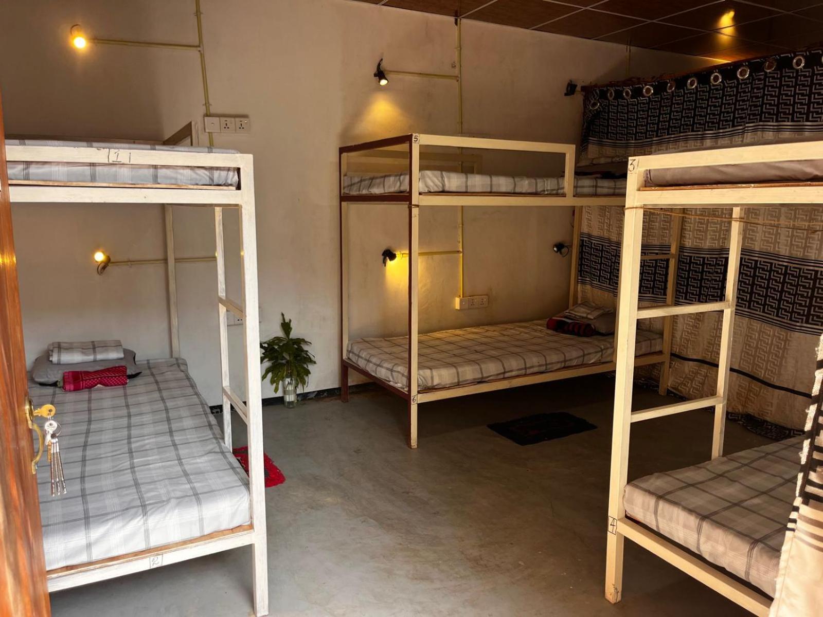 Surfing Lion Hostel Arugam Bay Dış mekan fotoğraf