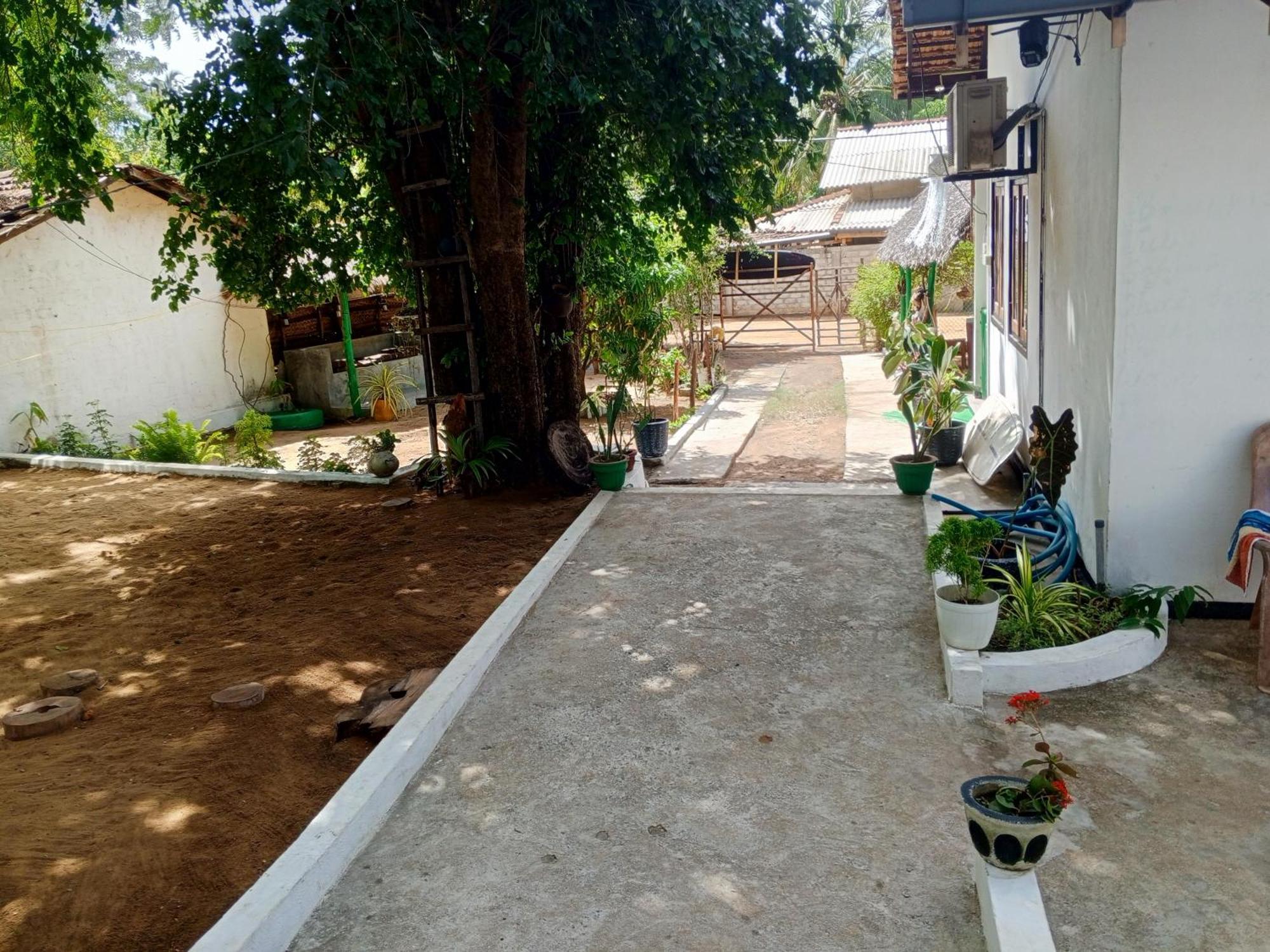 Surfing Lion Hostel Arugam Bay Dış mekan fotoğraf