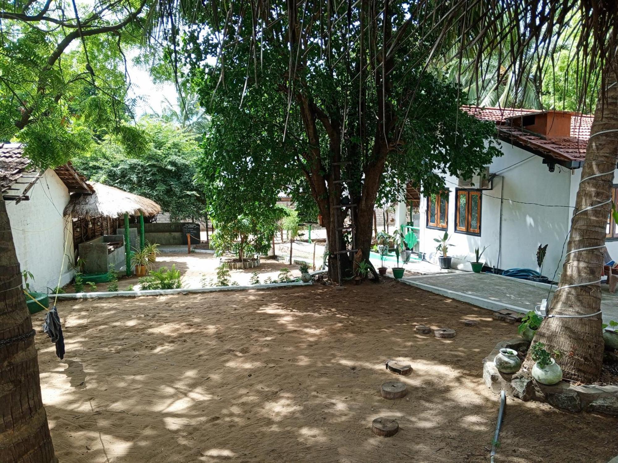 Surfing Lion Hostel Arugam Bay Dış mekan fotoğraf